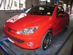 Peugeot 206cc_remus