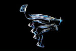 Honda Integra Headers